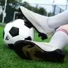Белый