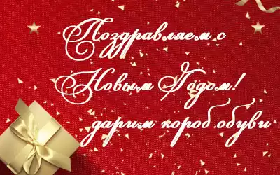 С наступающим Новым годом! Дарим обувь коробами!