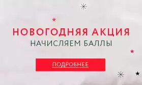 Новогодняя акция: начисляем баллы!