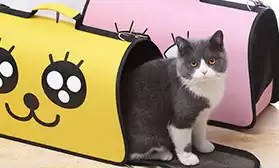 Новый раздел на сайте: переноски и вольеры для животных!