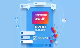 Онлайн-интервью: в студии ТМ ЗЕБРА!