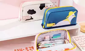 Сумки для ноутбуков и пеналы от ТМ BENJIN