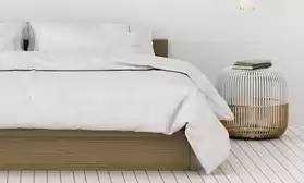 Торговые марки «Сонвиль», «Соники» и «Эстелика» в каталоге!