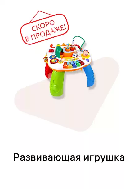 Развивающая игрушка